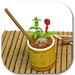 Thumbnail image for Rum Dood Cocktail